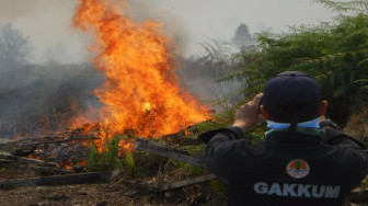 274 Hektar Lahan Dibakar, di Kalimantan Barat Sudah Ada Pelaku Jadi Tersangka