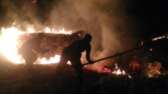 Semak Belukar Dipinggir Jalinsum Terbakar
