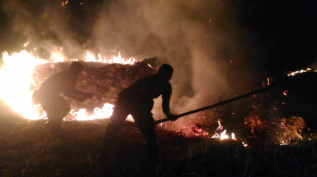 Semak Belukar Dipinggir Jalinsum Terbakar