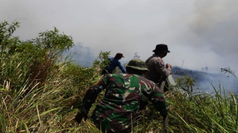 Kebakaran Lahan di Tanjabtim Masih Berlangsung