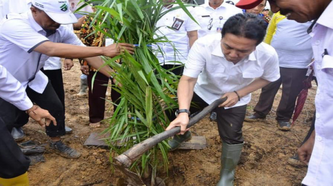 Bupati Hadiri Penanaman Perdana Kelapa Sawit pada Kegiatan PSR