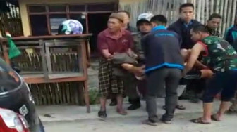 Diserang Babi Hutan, Satu Warga Kerinci Meninggal Dunia