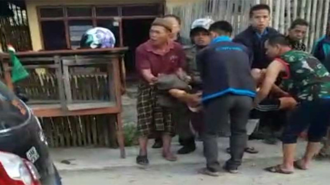 Diserang Babi Hutan, Satu Warga Kerinci Meninggal Dunia
