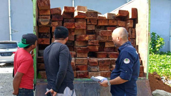 Gakkum KLHK Amankan Kayu Ilegal yang Diangkut 2 Truk