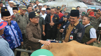 Inseminasi Buatan Upaya Majukan Peternakan