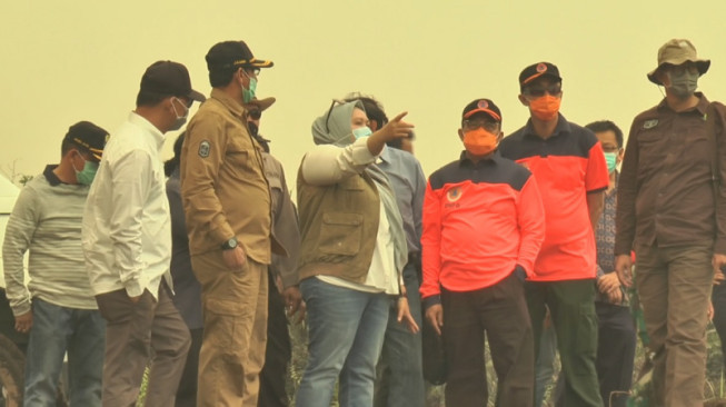 Gubernur Tinjau Lahan yang Mengalami Kebakaran