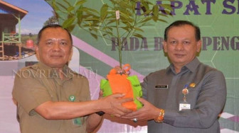 40 % Hutan Jambi Rusak Parah, RHL Suatu Keharusan