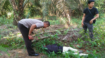 Warga Temukan Mayat di Kebun Sawit