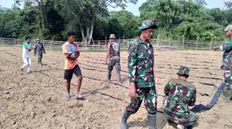 Warga SAD bersama Satgas TMMD Bersinergi Bercocok Tanam