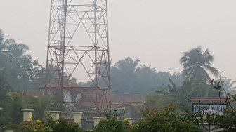 Diselimuti Kabut Asap Pekat, Warga Merangin Keluhkan Sesak Nafas