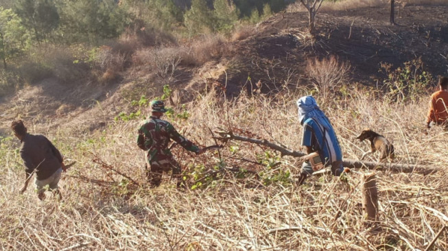 Satgas Pamtas RI - RDTL Bantu Warga Buka Lahan Kebun Tanpa Bakar