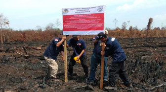 Diduga Penyebab Kabut Asap Terbesar, KLHK Segel Lahan PT TCP
