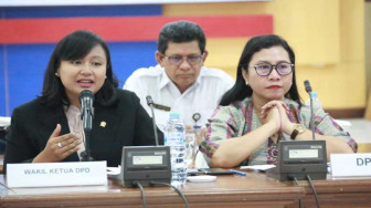 DPD RI Dorong BPKP Kawal Kelola Dana Desa