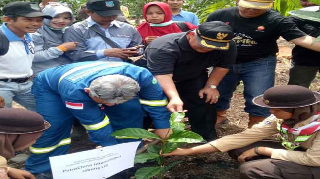 SKK Migas - PetroChina Hadiri Rembug Kampung dan Penanaman 10 ribu Bibit Kopi Liberika Tungkal Komposit