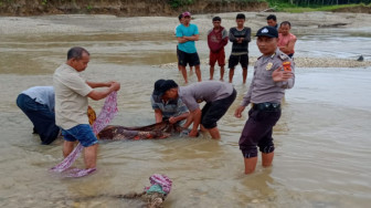 Mayat Seorang Wanita Ditemukan di Sungai