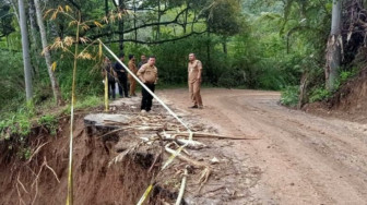 Dinas PUPR Provinsi Jambi  Tangani Jalan Koto Rami yang Longsor