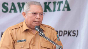 Bupati Tanjabbar Hadiri Tanam Perdana Replanting Sawit