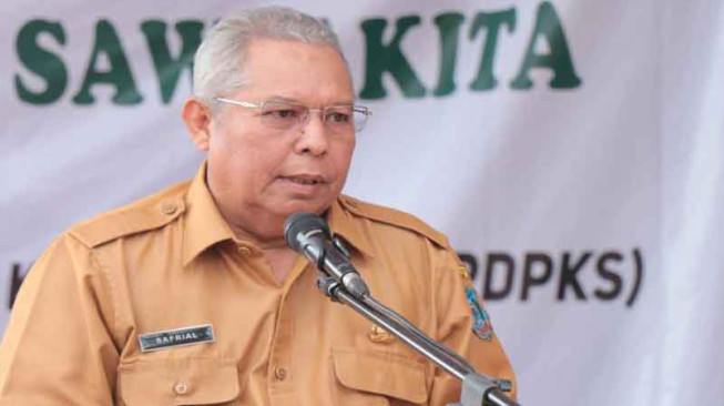 Bupati Tanjabbar Hadiri Tanam Perdana Replanting Sawit