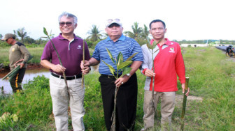 Menuju Indonesia Sejuk, Pemkab Tanjabbar Gandeng PetroChina Tanam Mangrove
