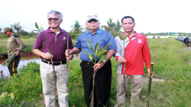 Menuju Indonesia Sejuk, Pemkab Tanjabbar Gandeng PetroChina Tanam Mangrove
