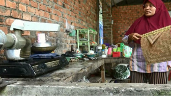 Hama Lalat Serang Pemukiman Warga