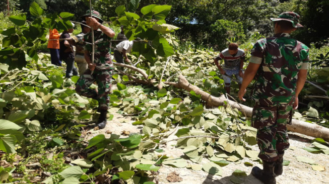Satgas Pamtas Yonif Raider 142/KJ dan Warga Bersihkan Pohon Tumbang di Jalan