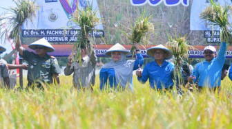 Fachrori : Pemerintah Bersinergi Memacu Peningkatan Produksi Pangan