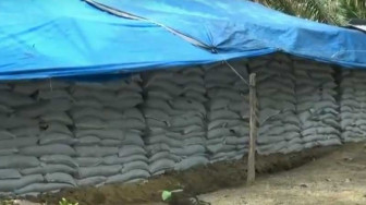 WKS dan LPPPI Belum Beli Pupuk, Tiga Bumdes Terancam Bangkrut