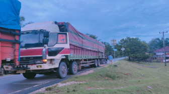 Ditreskrimsus Polda Jambi Amankan Dua Truk Bermuatan Kayu Ilegal