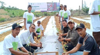 Royal Lestari Utama Beli Karet Petani di Atas Harga Rata-rata