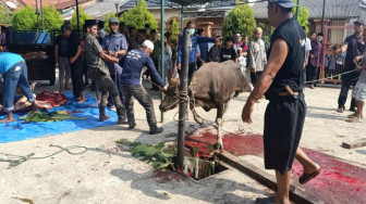 Warga Blok C Perumahan Aurduri Qurban 10 Sapi dan 2 Kambing