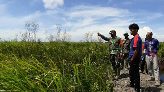 Dansatgas Cek Lahan Rawan Karhutla