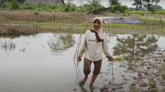 Petani Desa Kunangan Tolak Rencana Pembangunan Stockpile Batubara