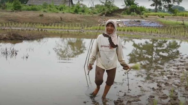 Petani Desa Kunangan Tolak Rencana Pembangunan Stockpile Batubara