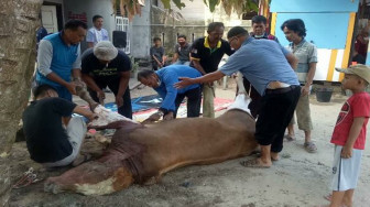 Berlian Group Berbagi Daging Qurban di RT 28 Pasir Putih