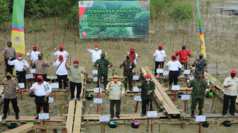 Safrial Bersama Gubernur Jambi Tanam Mangrove di Kawasan Pelabuhan Roro