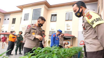 Kapolda Jambi Tinjau Kebun Ketahanan Pangan Polres Tanjabbar