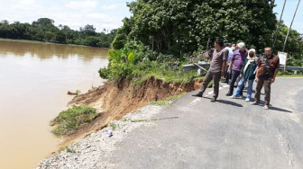 Jalan Padang Lamo Nyaris Putus, Komisi III DPRD Provinsi Jambi Turun