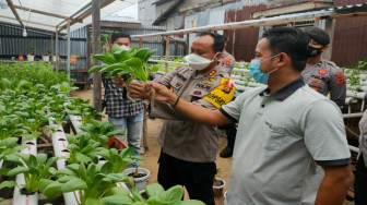 Puluhan Pasien Covid-19, Mendapat Bantuan Sayur Hidroponik dan Sembako dari Gugus Tugas Covid-19 Tanjabbar