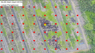 BRG Gunakan Data Indikasi Pembukaan Gambut untuk Peringatan Dini