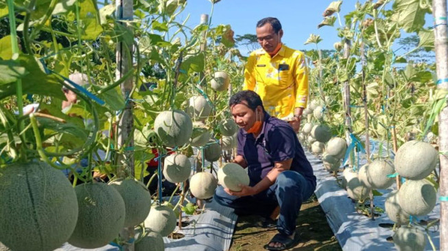 Temui Romi, Aktivis Lingkungan Titip Hutan Tanjabtim