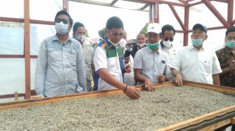 Di Desa Sungai Lintang Syafril Nursal Sempatkan Kunjungi Pabrik Kopi yang Mampu Ekspor ke Eropa dan Amerika