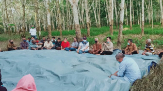 Dialog di Tengah Kebun Karet, Al Haris Bawa Solusi untuk Petani Karet