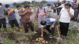 Jika Terpilih, Fachrori dan Syafril akan Membentuk Asosiasi Petani Kentang dan Pendirian Koperasi