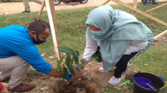 Bupati Masnah Bersama Kapolda Jambi Tanam Pohon di Desa Pulau Kayu Aro
