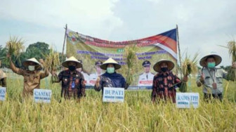 Bupati Muaro Jambi Salurkan Bantuan Kepada Petani