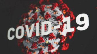 Batanghari Peringkat Kedua Kasus Konfirmasi Positif Covid-19