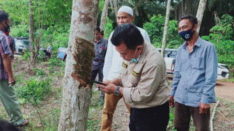 Mudanya Nyadap Karet, Al Haris Tahu Persis Kehidupan Petani Karet