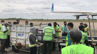 Dukung Repatriasi Satwa Dilindungi, Garuda Indonesia Terbangkan 11 Orangutan dari Malaysia dan Thailand