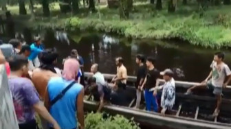 Hilang Saat BAB, Sugiarti Ditemukan di Mulut Buaya